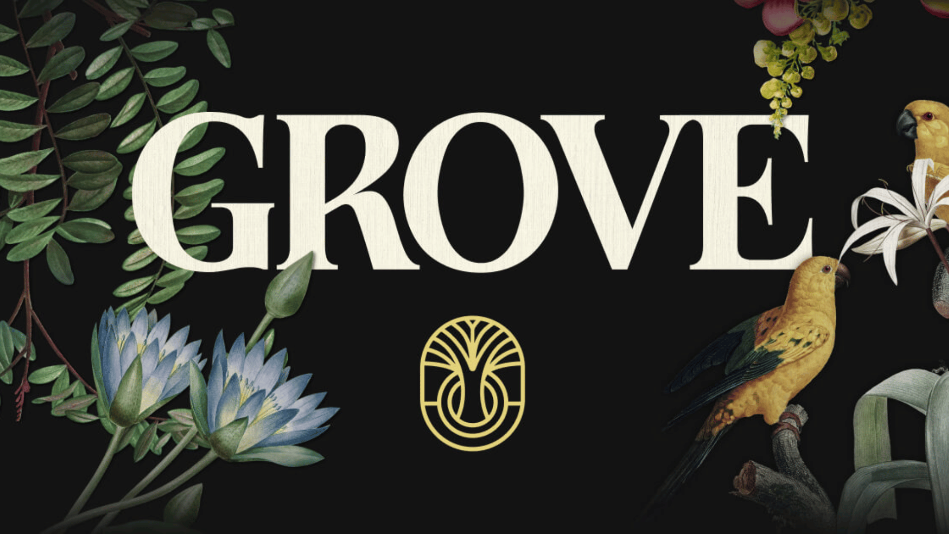 Grove Protocol (GROVE)